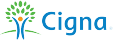 Placement Partner
