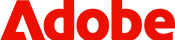 Placement Partner